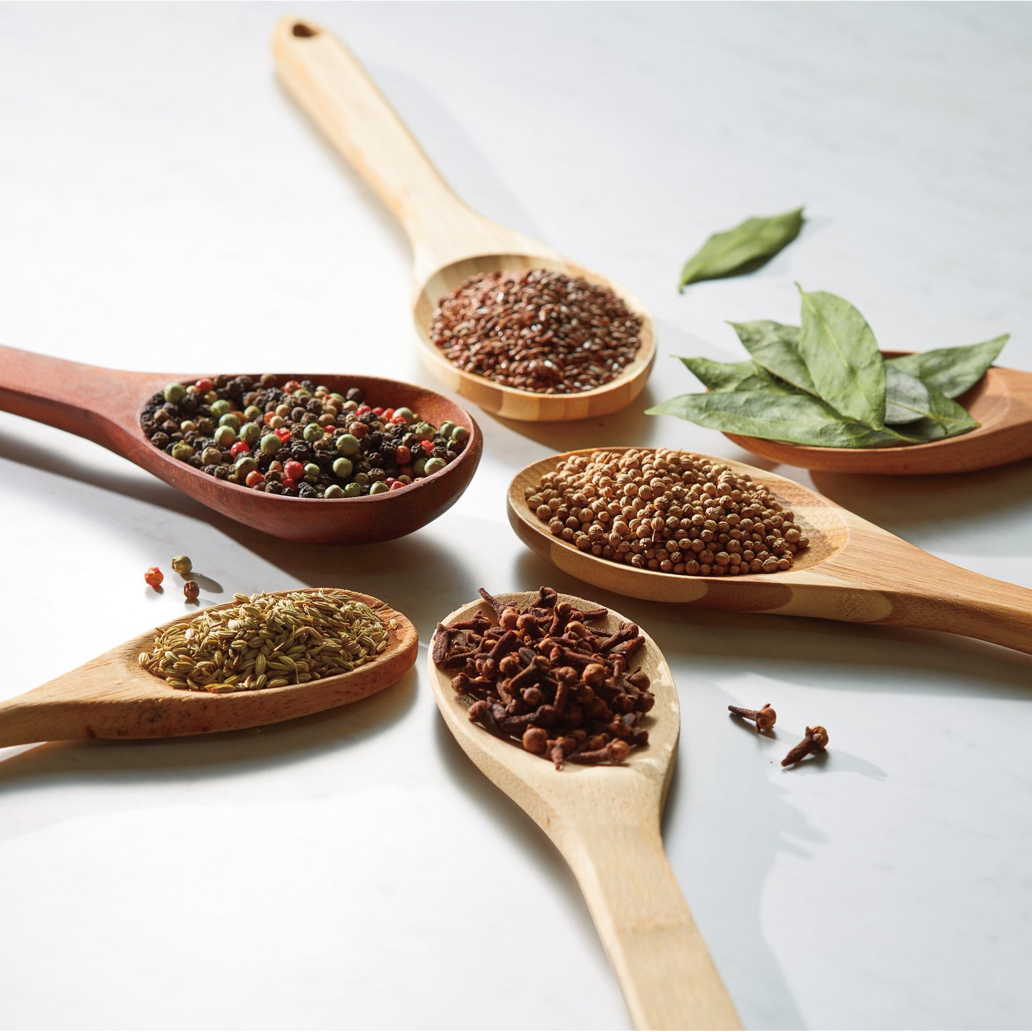 Molino de Café Hamilton Beach Fresh Grind